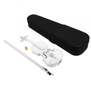 Factory hot sale white linden plywood and maple professional Beginner student violin
