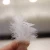 Import Factory price white grey soft warm washed no smell duck down feather from China