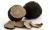 Import Factory Supply Nutritional Black Truffle Extract wild mushrooms from China