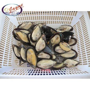 Factory supplying new sell fresh raw iqf frozen mussel with shell
