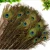 Import Factory Wholesale Big Eye Natural Peacock Feather Peacock from China