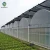 Import Farm greenhouse farm in multi-span greenhouses plastic green house with irrigation&hydroponics equipment from China