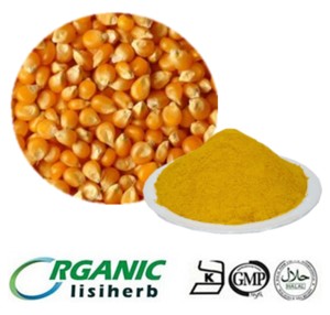 Feed grade high quality Corn Protein powder / Zein / Corn Gluten for sale