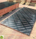 finger joint board marine plywood for concrete formwork