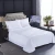 Import Five star hotel satin ribbon solid color 60S cotton hotel jacquard bedding set white color printed duvet cover ribbon from China