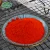 Food spices red chili powder hot selling