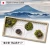 Import freeze-dried moss S banquet hall garden flower hangings decorations from Japan