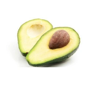 Fresh avocado best price Wholesale supplier