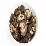 Fresh Frozen Moon/Apple Snail Meat