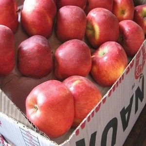 fresh fruits red Fuji apple