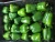 Import Fresh Green Capsicum from Vietnam