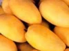Fresh Mango from Pakistan Mango