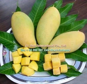 Fresh Mango - High Quality - Best Price from Viet Nam