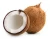 Import Fresh Mature Coconuts, Organic Coconuts, Young Coconuts from South Africa