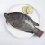 Import Fresh Seafood Fish Tilapia Frozen Whole Tilapia from China