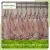 Import FROZEN MUTTON/SHEEP CARCASS from China