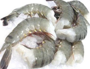 Frozen shrimps (Black tiger,prawn,vannamei and white shrimps)