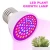 Import Full Spectrum E27 220V LED Plant Grow Light Bulb Phyto Lamp For Indoor Garden Plants from China