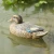 Import Garden Decor pigeon Bait canada floating Moulds Realistic Plastic goose decoys duck hunting decoy from China