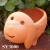 Import Garden decoration terracotta pot wholesale supplies from China