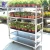 Import Garden mobile shipping transport metal dutch plant nursery greenhouse flower carts for sale from China