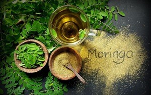 Ginseng Moringa Herbal Flavored Tea