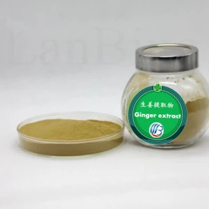 GMP high quality water soluble ginger root extract organic ginger extract