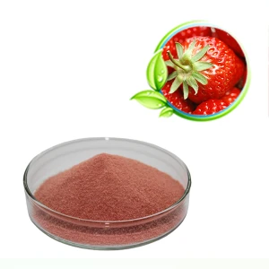 GMP Soluble Natural Bulk Factory Supply Strawberry Fruit Powder