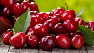 Grade A Quality fresh cherries