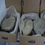 Grade AA Halal Buffalo Boneless Meat/ Frozen Beef Omasum/ Frozen Beef Tenderloins for sale
