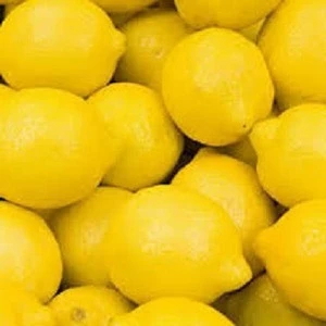 Green lemon/ fresh lime/ fresh fruit from Hoang Kim Viet Nam for sale