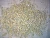Import GREEN MILLET BAJRA FOR TUNISIA from India