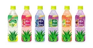 HACCP and ISO Certified Manufacturer Rita healthy NFC aloe vera drink bottled