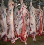 HALAL FRESH / FROZEN GOAT / LAMB / SHEEP MEAT / CARCASS