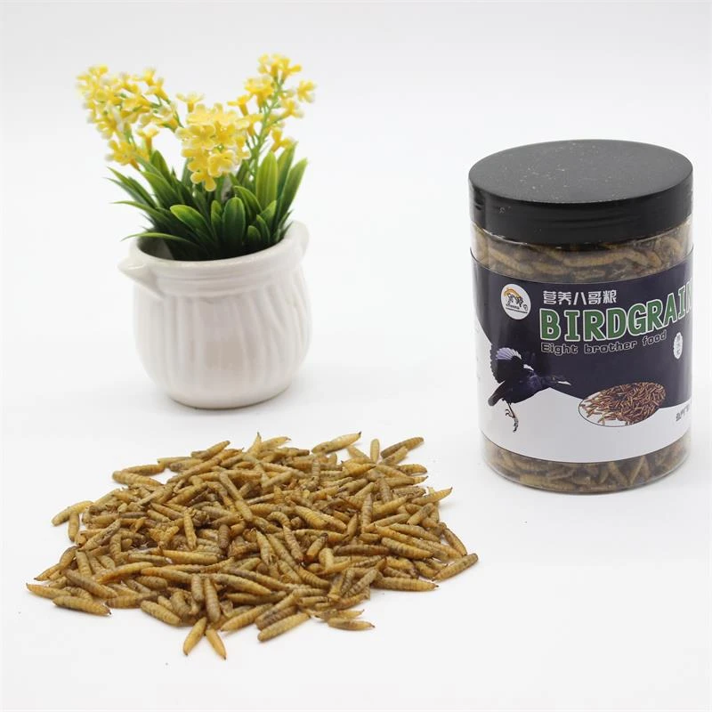 High protein organic dried black soldier fly larvae for sale