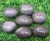 Import high quality engraved pebble stone | garden stone from China