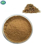 high quality fine leaf schizonepeta herb extract powder Fineleaf schizonepeta extract