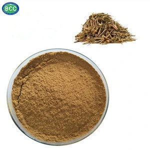 high quality fine leaf schizonepeta herb extract powder Fineleaf schizonepeta extract
