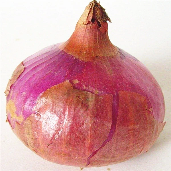 High Quality Fresh Red Onion Peeled or Non-peeled