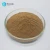 Import High Quality Lion&#39;s Mane Mushroom Extract from China
