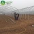 Import High quality plastic film tomato growing greenhouse hydroponics from China
