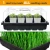 Import High Quality Seed Germination Plant Flower Pots Nursery Grow Tray Seedling Starting Generation Tray kits from China