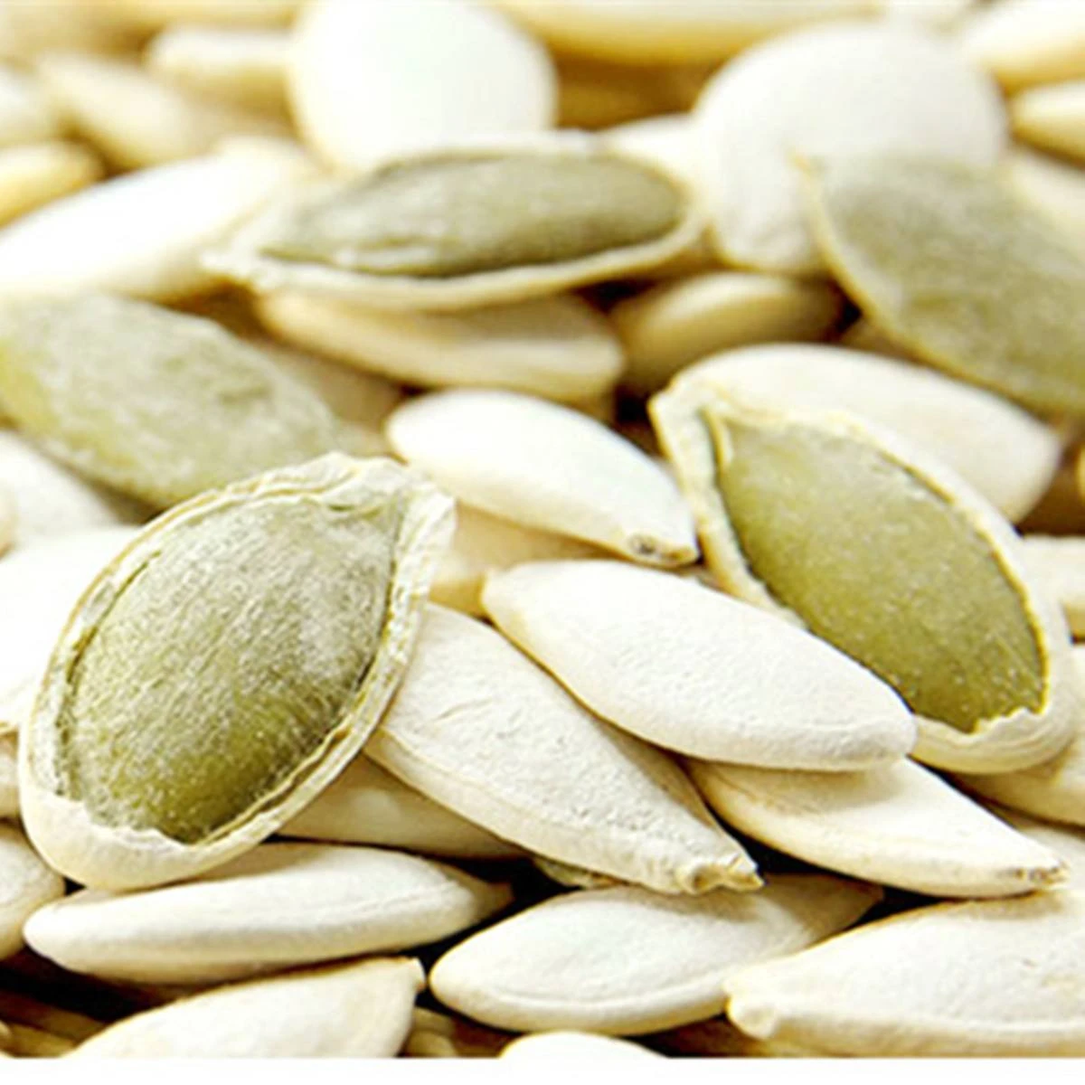 High quality wholesale protein Large pumpkin seeds