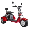 Holland Warehouse 3 Wheels Electric Scooters with Delivery Basket E Mobility Bicycle City coco Scooter Electric Off Road Sports