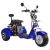 Import Holland Warehouse 3 Wheels Electric Scooters with Delivery Basket E Mobility Bicycle City coco Scooter Electric Off Road Sports from China
