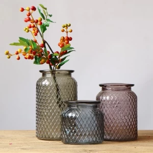 Home nature colors planting inside with elegant transparent stylish glass vases