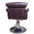 Import Hot Sale Barber Shop Synthetic Leather Beauty Salon Styling Hair Salon Chair from China