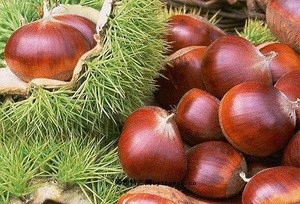 Hot sale high quality 2018 new crop Dandong fresh Chinese Chestnut