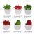 Import Hot Sale Home Decor Plastic Succulents Small Artificial Potted Plants from China