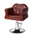 Import Hot Sale Luxury Hair Salon Furniture Beauty Salon Chair from China